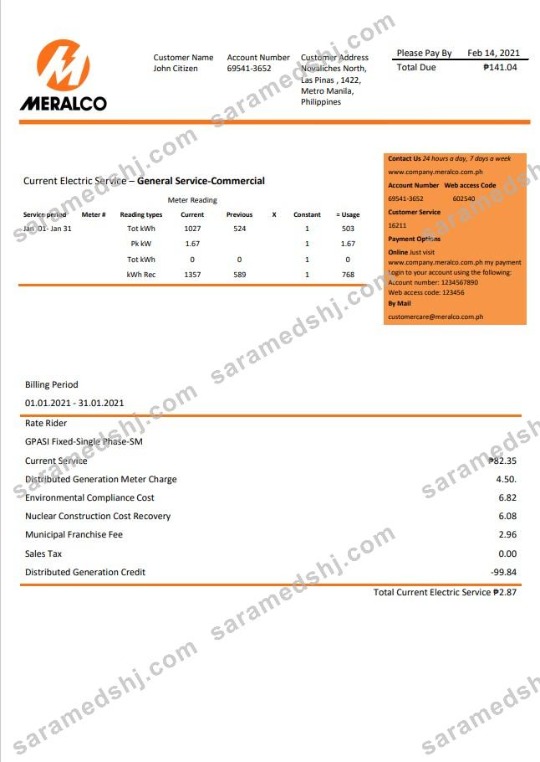 Philippines Manila Electric Company (Meralco) electricity utility bill Word and PDF template